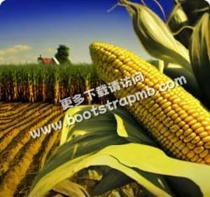 汇聚体育资讯，不容错过 - 雷速litian